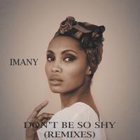 Imany - Don&#039;t Be So Shy (Ayur Tsyrenov Dfm Remix)