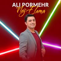 Ali Pormehr - Seni Sevmekdendir Ft. Sebnem Tovuzlu 2022