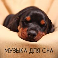 Музыка Для Сна. - Релакс...