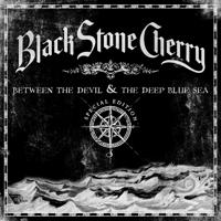 Black Stone Cherry - Give Me One Reason (The Plug)