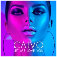 Calvo - Say It Right