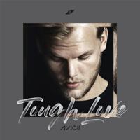 Avicii - Levels 22 (Dj Allan Rework)