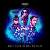 Dimitri Vegas & Like Mike - She Knows (With Akon)