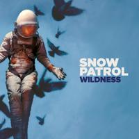 Snow Patrol - The Forest Is The Path