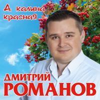 Дмитрий Романов - Белым Соколом По Небу