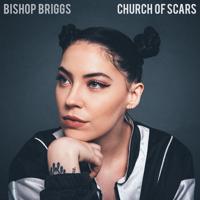 Bishop Briggs - Baggage