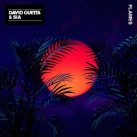 David Guetta Feat. Sia - Titanium (Ayur Tsyrenov Dfm Remix)